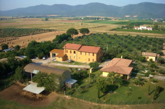 Agriturismo Molinaccio Alberese Parco della Maremma